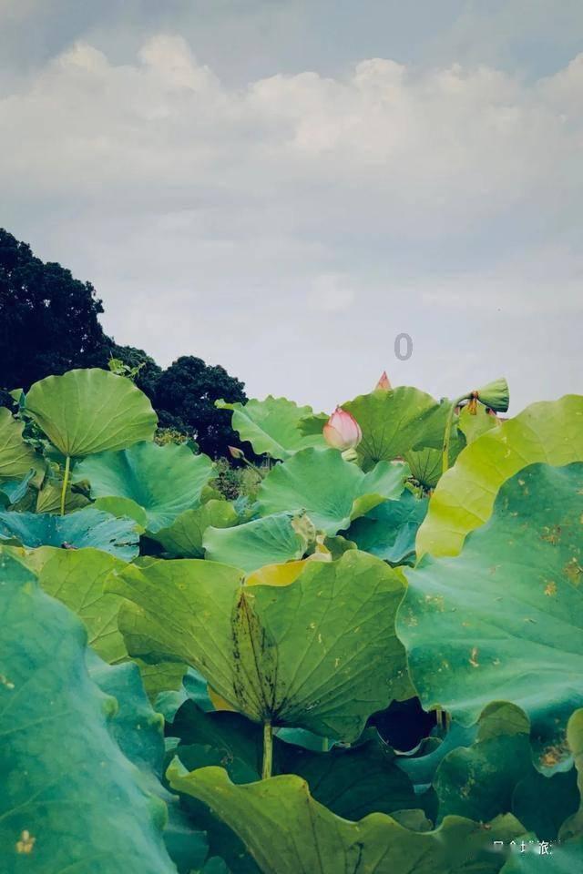 孤岛危机2